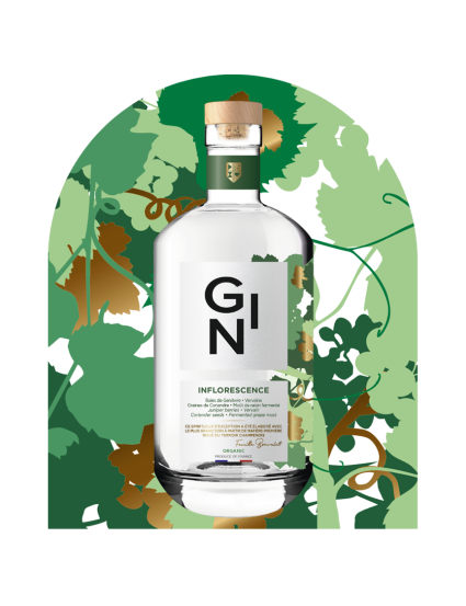 Gin Bonvalet - Inflorescence