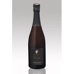 Champagne Alain Bernard - Grand Cru Blanc de Noirs - 75 cl
